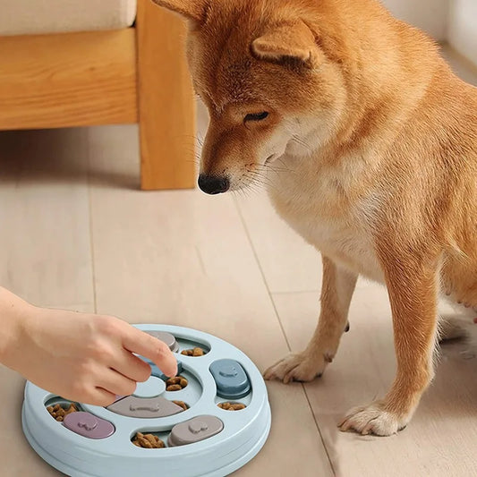 Interactive Dog Feeding Bowl