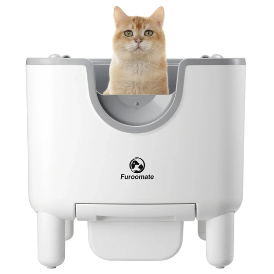 Purrfect Clean Kitty Box