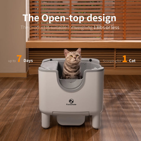 Purrfect Clean Kitty Box