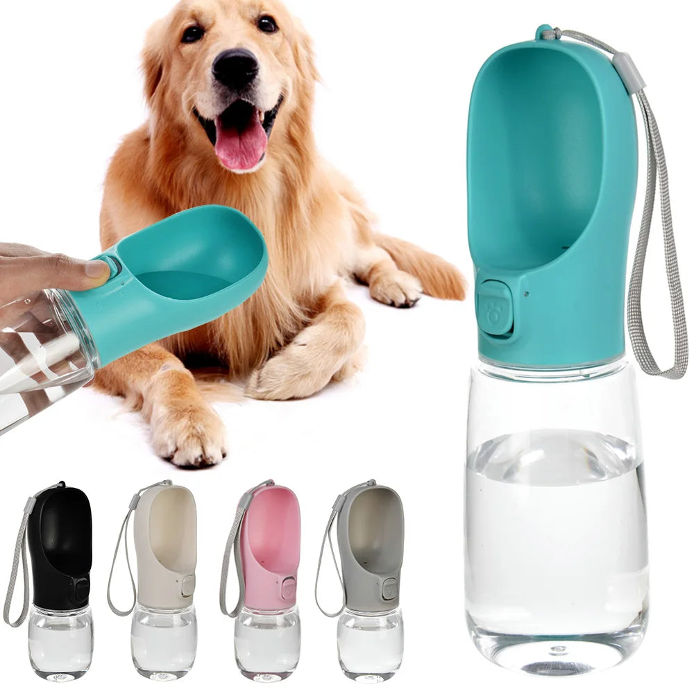 Dog Adventure Water Bottle
