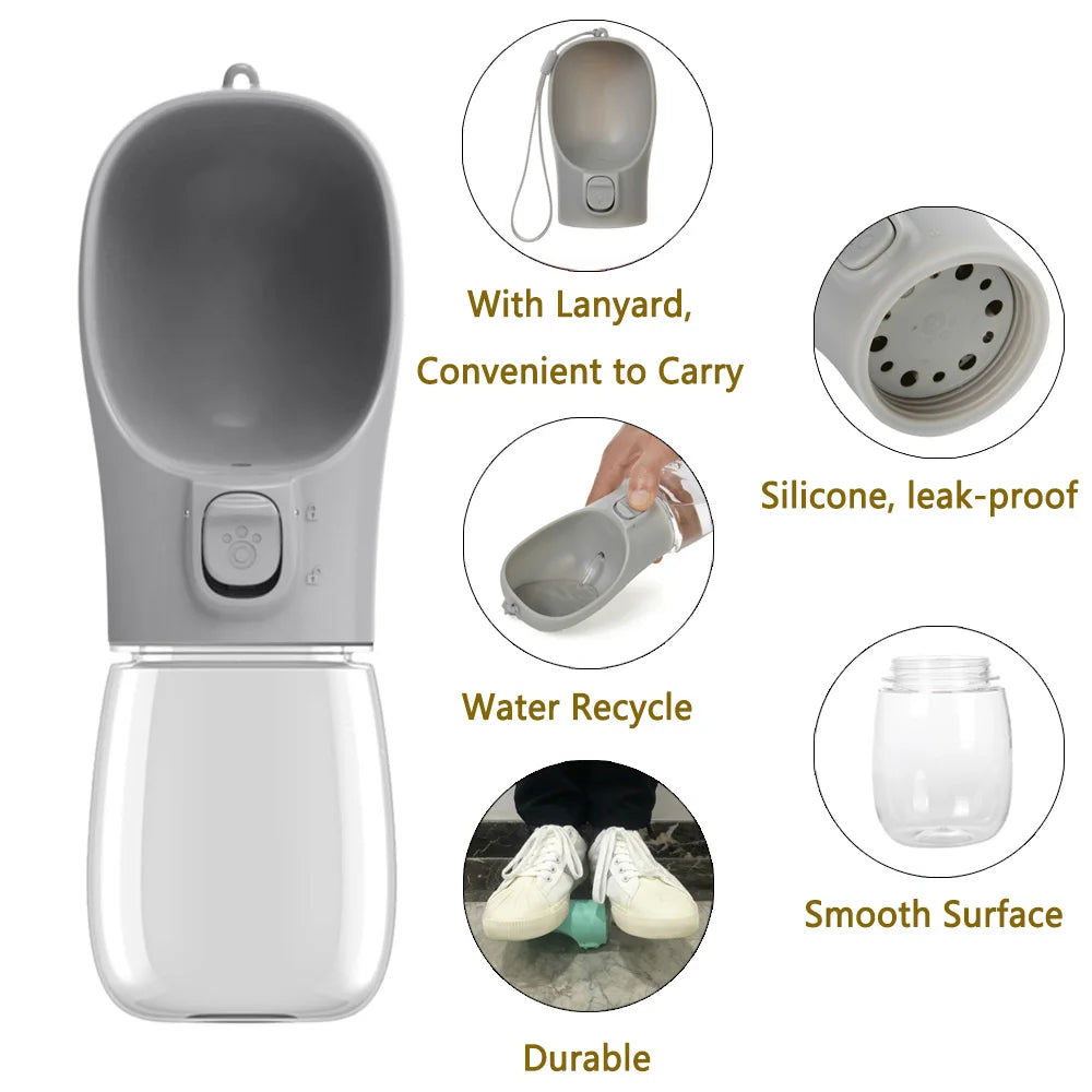 Dog Adventure Water Bottle