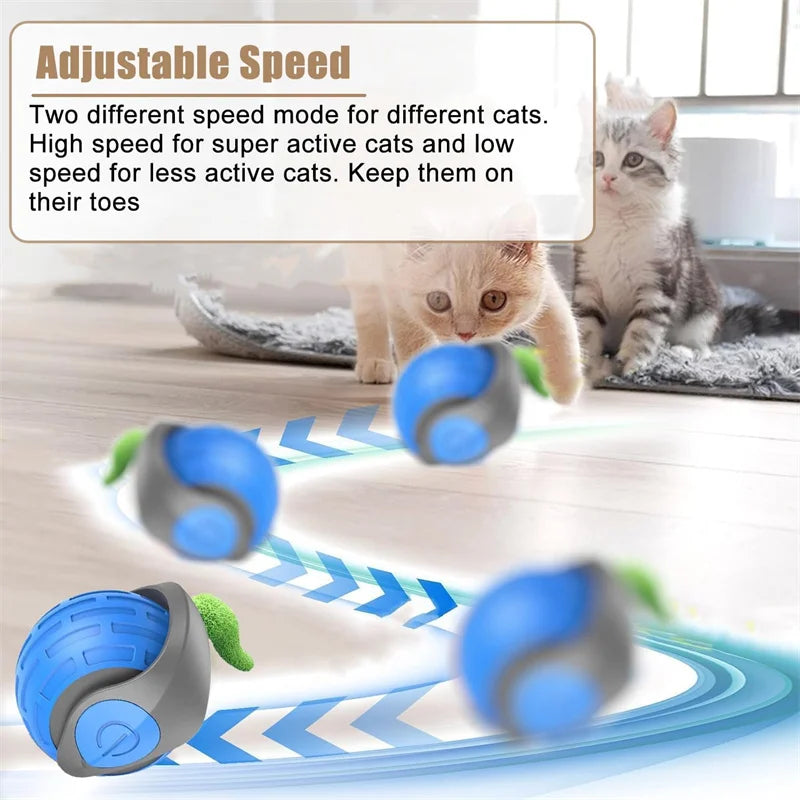 Magic Kitty Play Ball