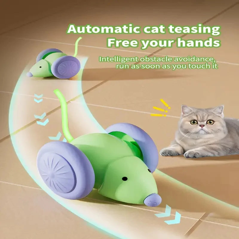Magic Kitty Play Ball