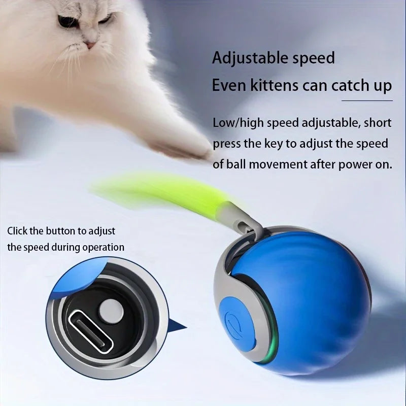 Magic Kitty Play Ball