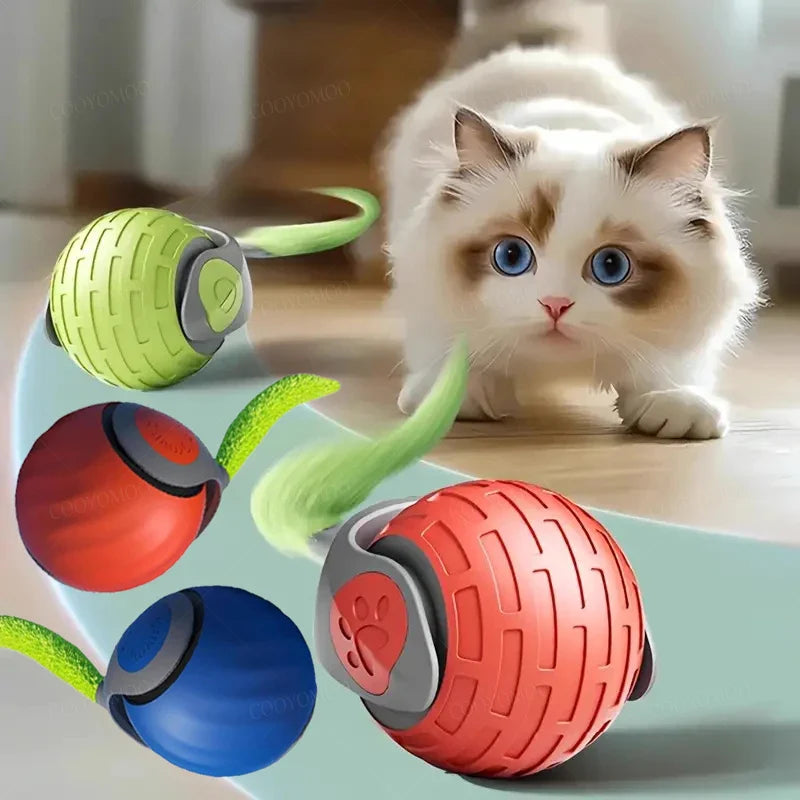 Magic Kitty Play Ball